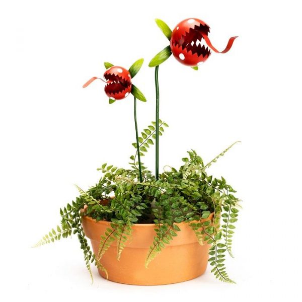 Carnivorous Red Plant