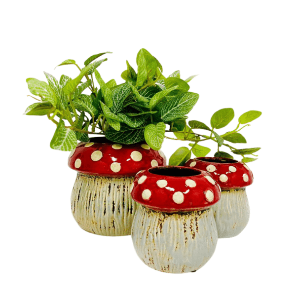 Ceramic Mushroom Pots