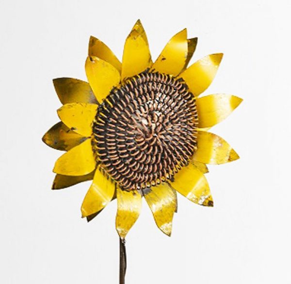 Close up Yellow Sunflower Sml 79 Lrg 110