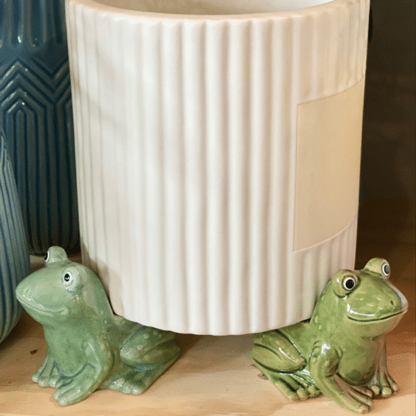Frog Pot Holders