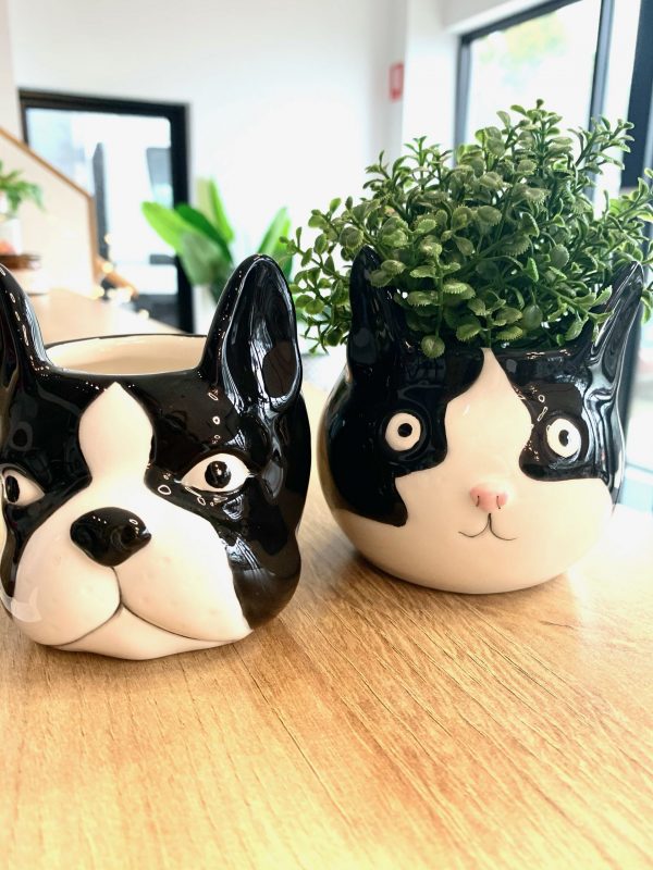 Bulldog and Cat Succulent Pots
