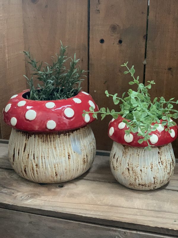 Mushroom pots 4 e1591698850600 scaled 1