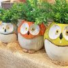 Owl Pot/Planter