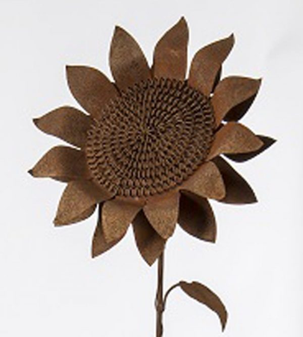 Rusted Sunflower Head