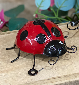 SALE CLEARANCE FUNKY LADYBIRDS Craft Buttons Insect Nature Garden Flower Beetle 