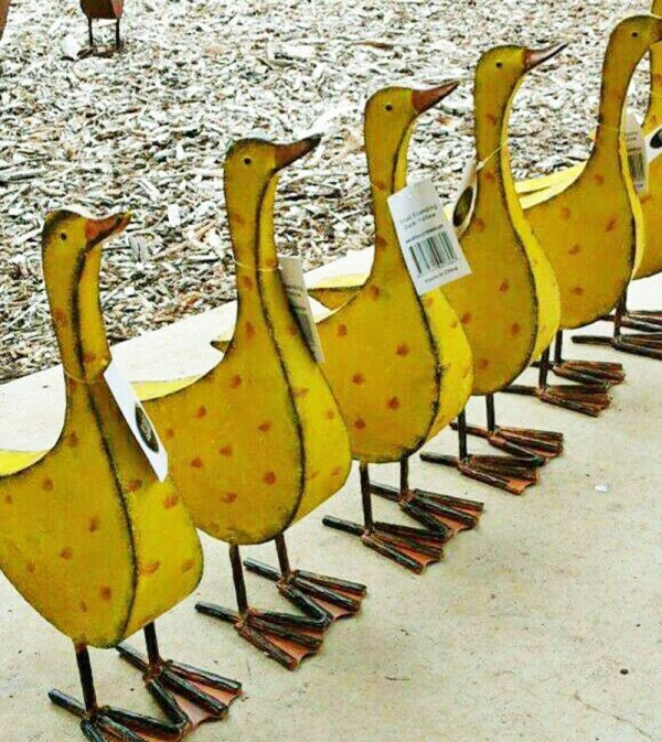 Yellow Ducks lined up