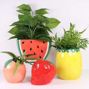 Assorted Fruit Planters