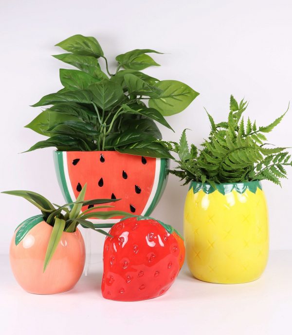 Assorted Fruit Planters