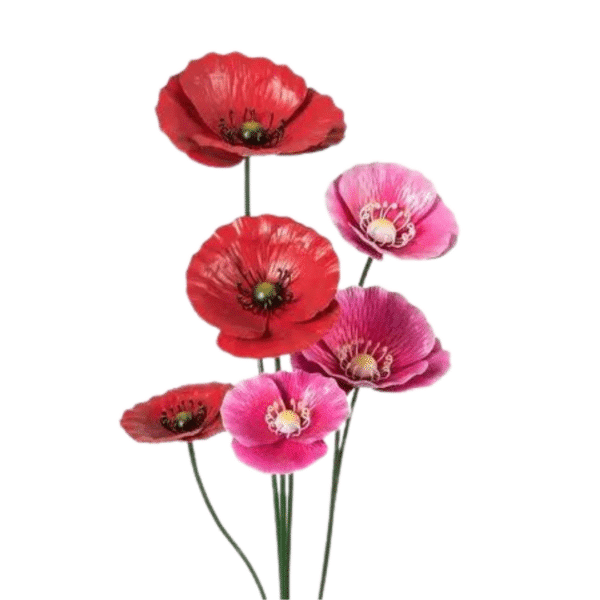 Red Pink Poppy Stakes