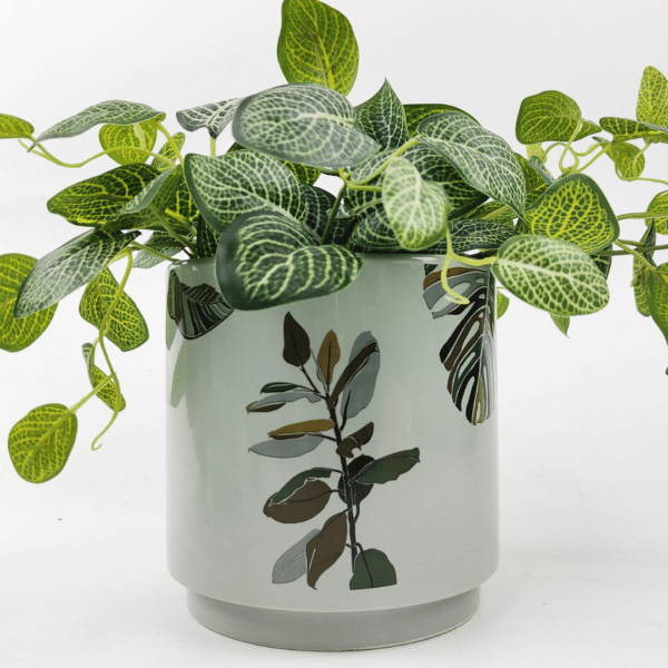 Ivy Foliage 2