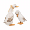 Set 2 duck
