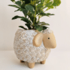 Sheep planter 2