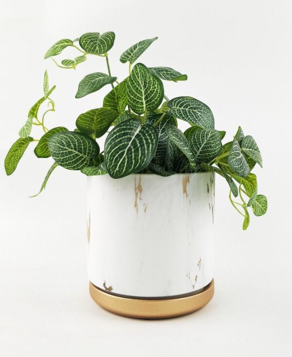 white and gold pot