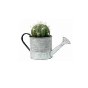 Round watering can planter