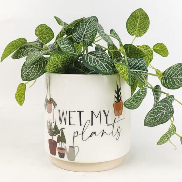 Wet plants