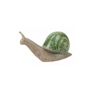 ceramic green snail